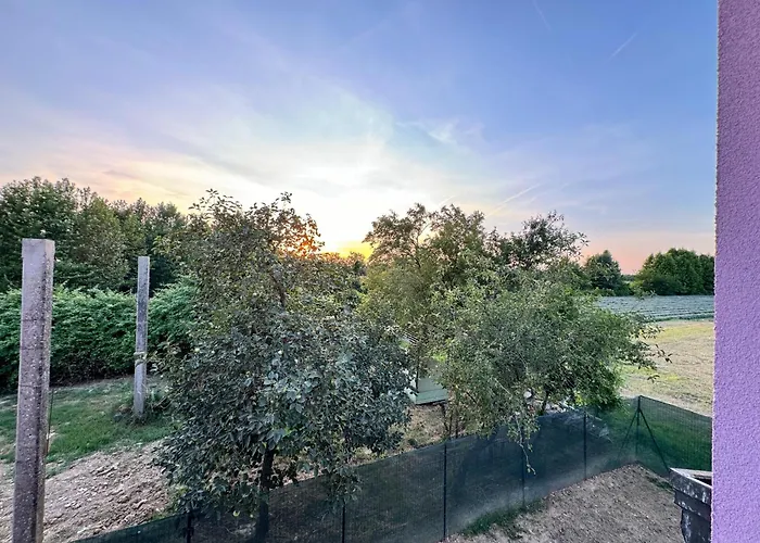 Lavender Apartments Near Venice Airport