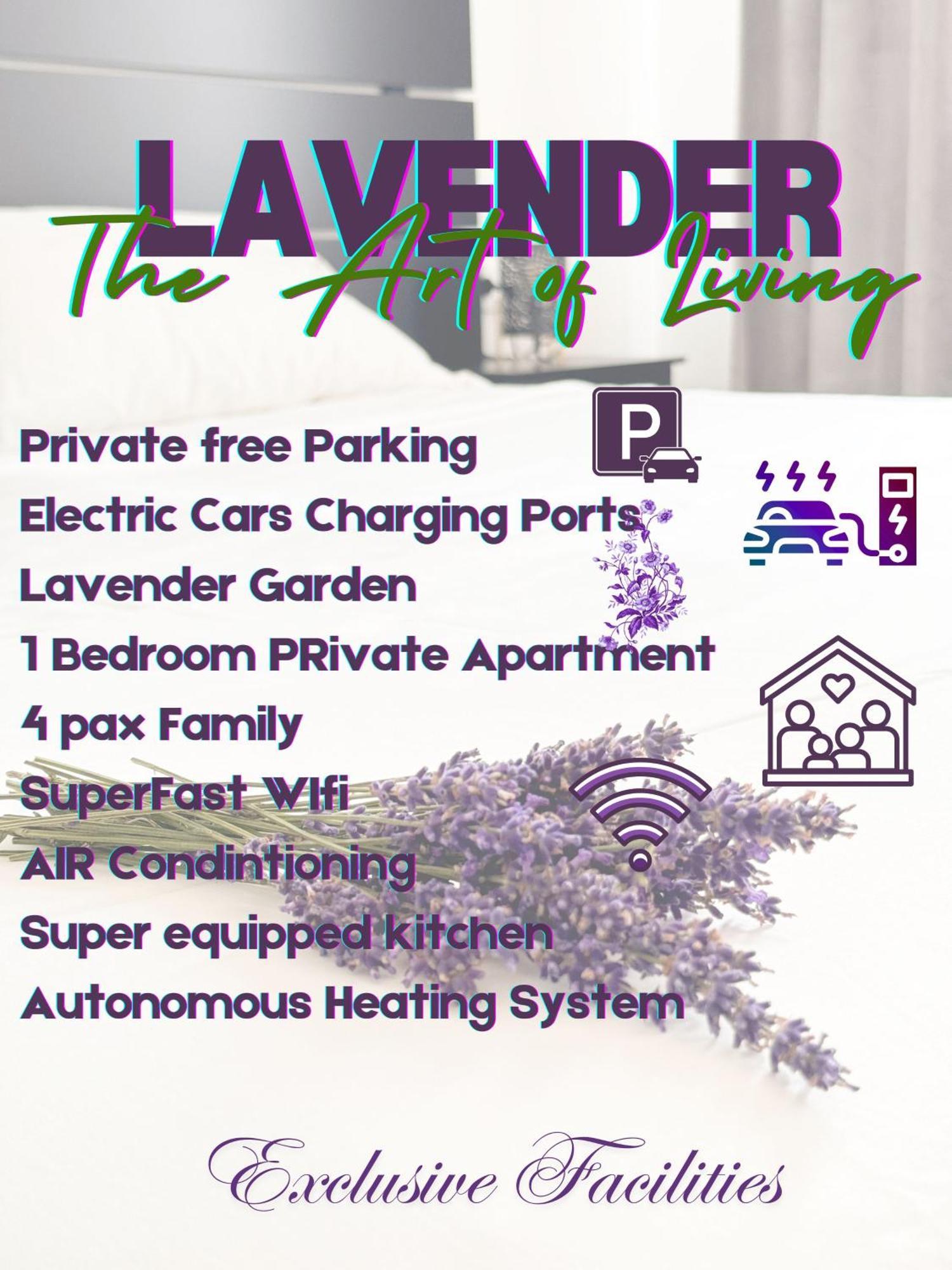 Lavender Near Venice Airport