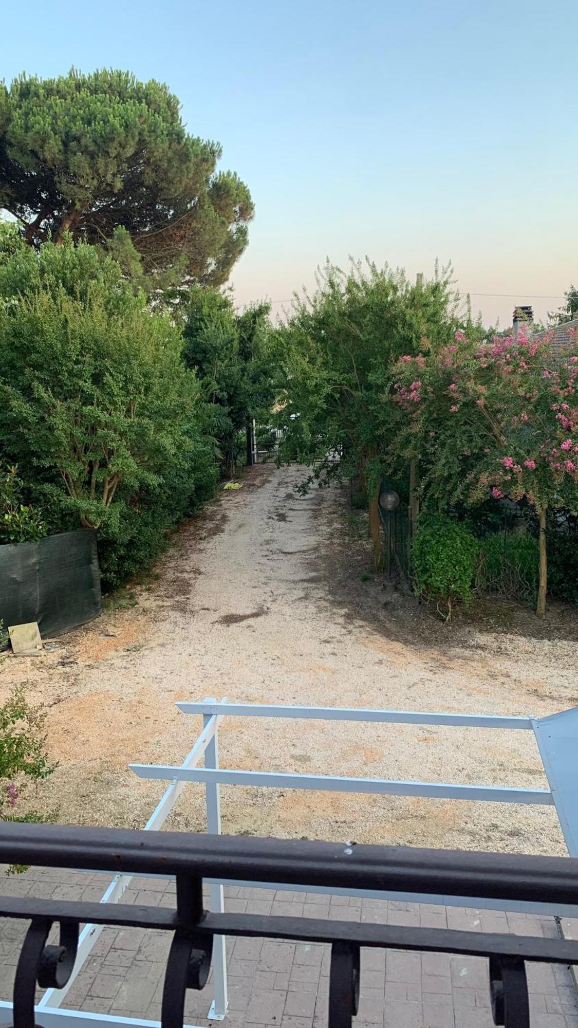 Lavender Near Venice Airport