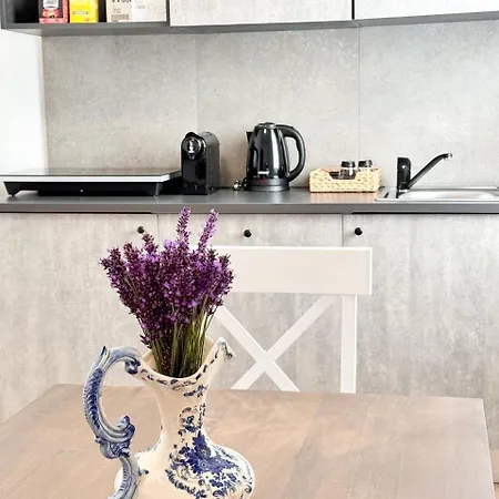 Lavender Apartments Near Venice Airport Favaro Veneto Exterior photo
