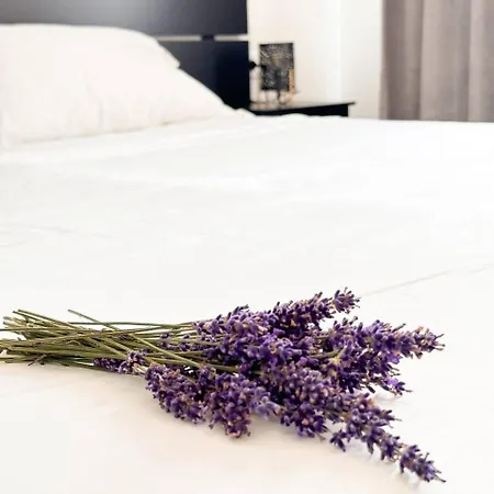 Lavender Apartments Near Venice Airport Favaro Veneto Exterior photo