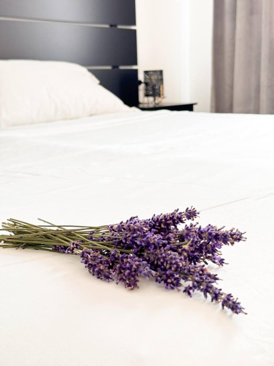Apartment Lavender Near Venice Airport