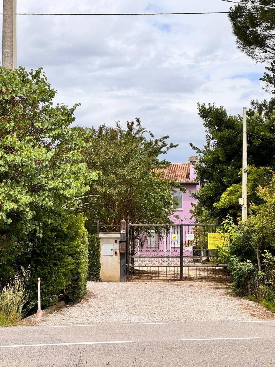 Lavender Near Venice Airport Favaro Veneto