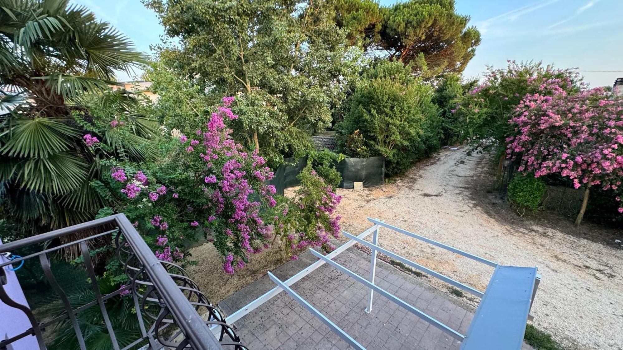 Apartment Lavender Near Venice Airport *